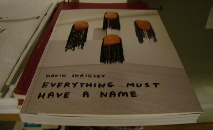 Everything must have a name by David Shrigley
